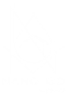 logo wtite