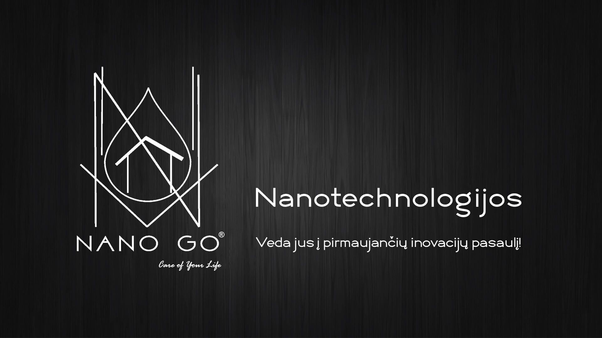 Nanotechnologijų įmonės NANO GO logotipas