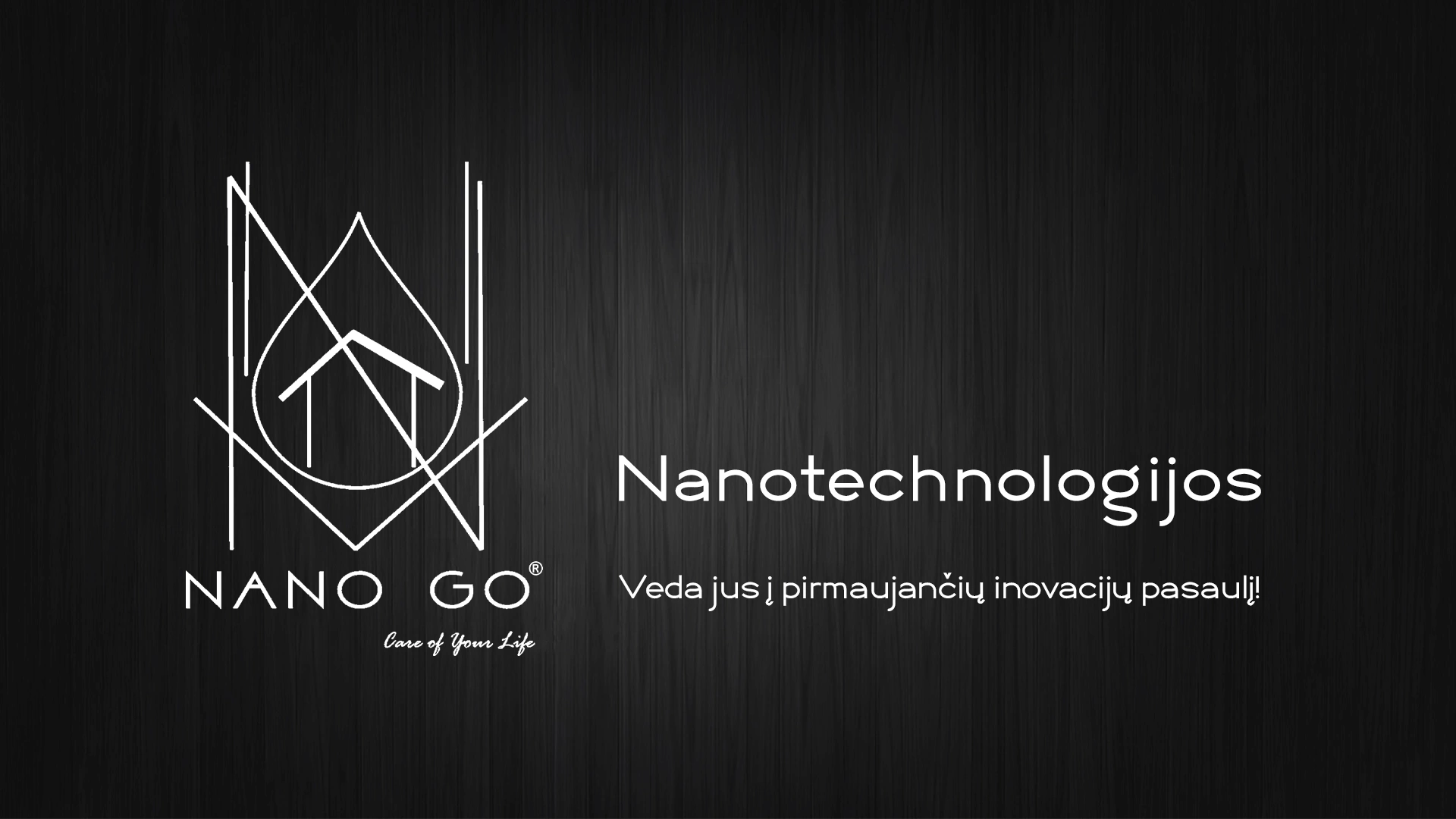 Nanotechnologijų įmonės NANO GO logotipas