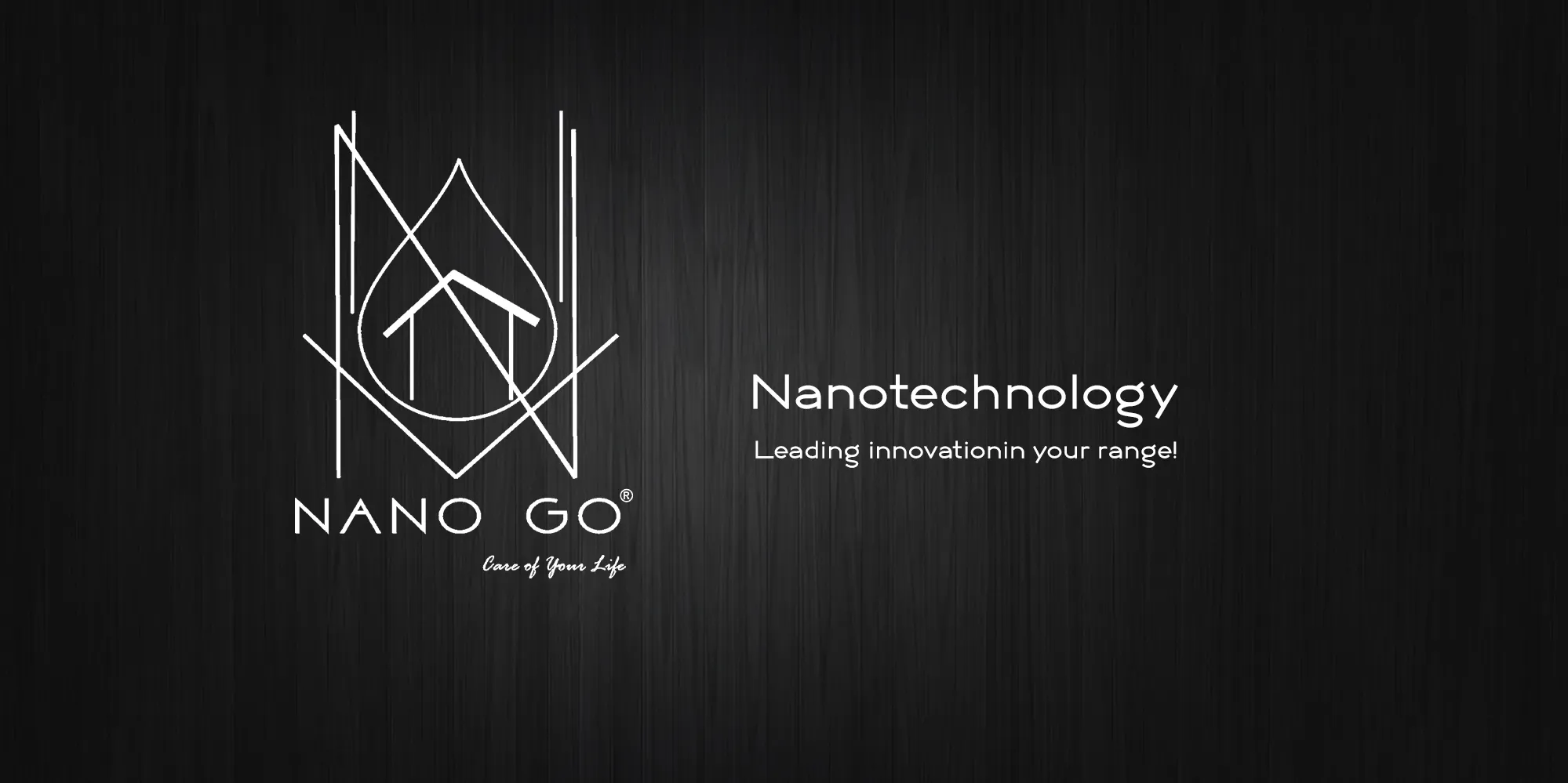 nanogo-logo