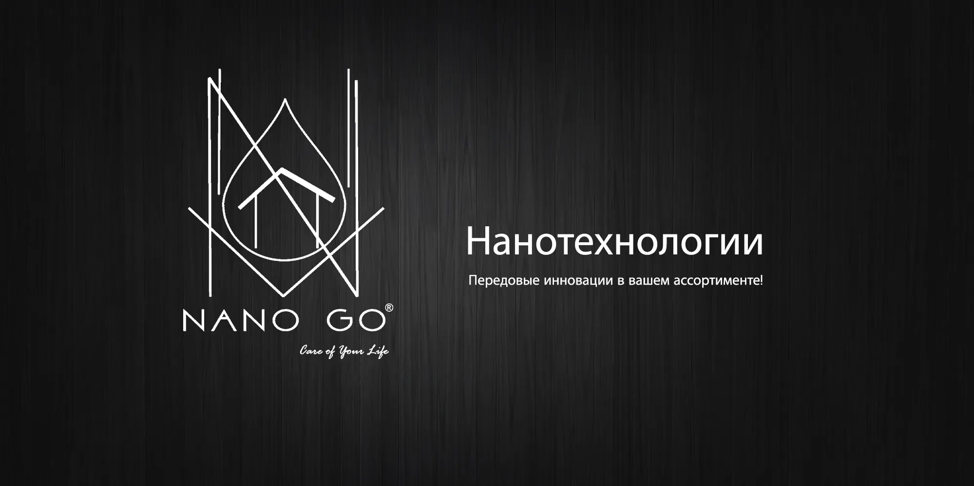 nanogo-logo